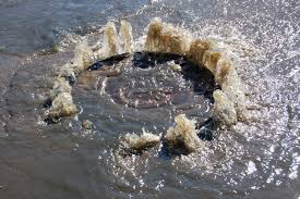 Sewer Clog